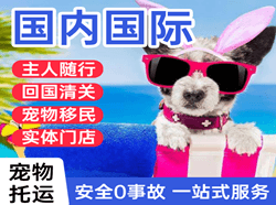 荆州沙市机场物流国际宠物托运 【国